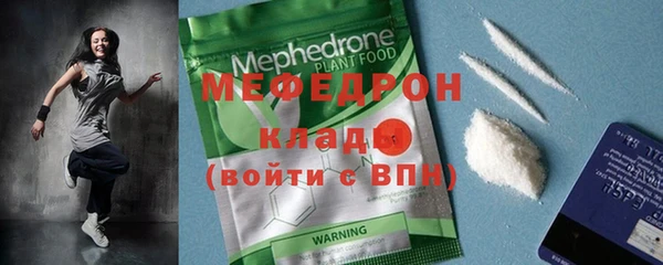индика Бородино