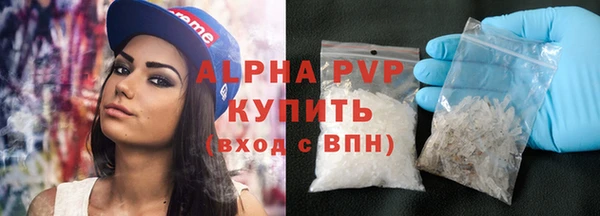 индика Бородино