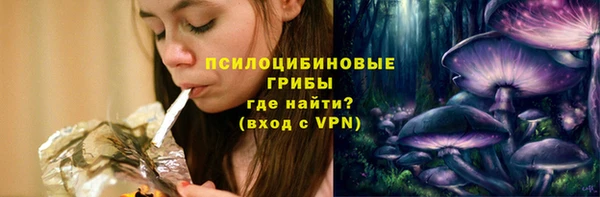 индика Бородино
