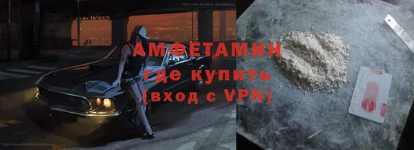 индика Бородино