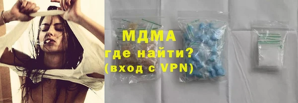 индика Бородино