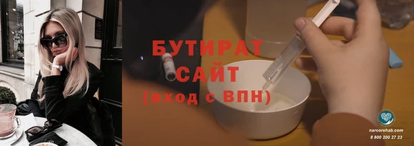 индика Бородино