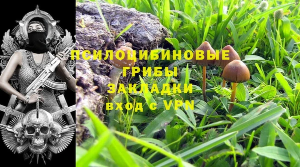 apvp Бугульма