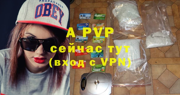 стафф Бронницы