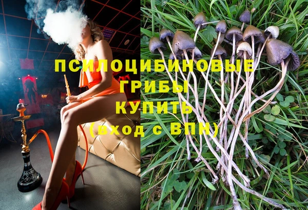 apvp Бугульма