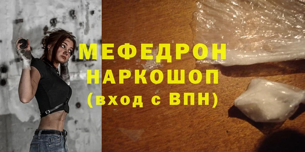 индика Бородино