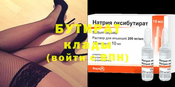 индика Бородино