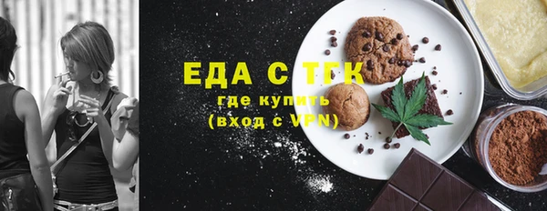 индика Бородино