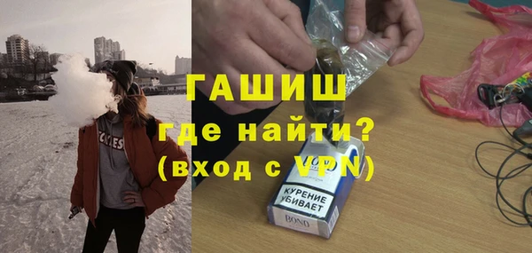 индика Бородино