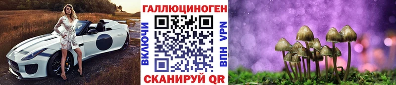 Псилоцибиновые грибы GOLDEN TEACHER  блэк спрут ССЫЛКА  Верхняя Тура 